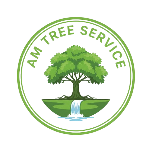 AM Tree Service - Professional Tree Care in Hitchcock, TX